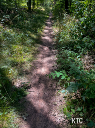 2025-07-05 Heuchelbergtrail - IMG_9129